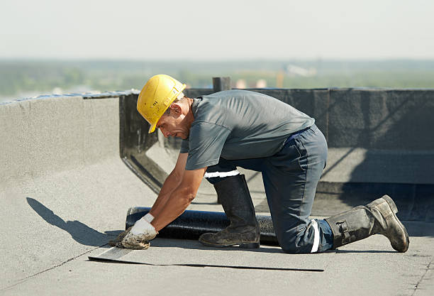 Best Wall Insulation Contractor  in Lawrence, NY